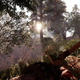Image for article titled Far Cry Primal’s Survivor Mode Makes The Game Feel Complete